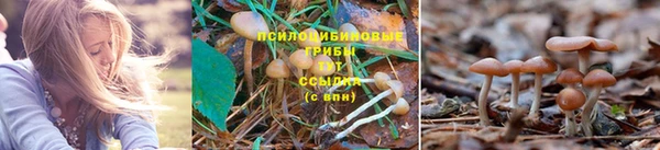 марихуана Вязьма